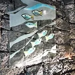 Aloelux ! - Private With Jacuzzi, Cinema ,massage ,wonderful View, Art Desing Conil