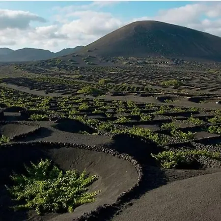 فيلة Aloelux ! - Private With Jacuzzi, Cinema ,massage ,wonderful View, Art Desing Conil