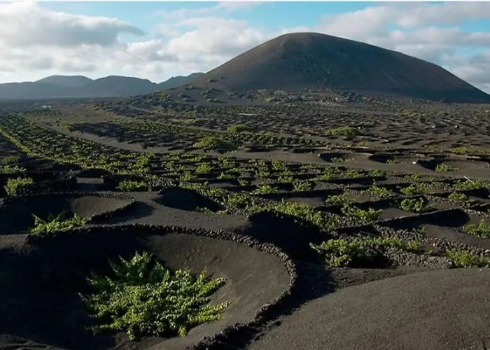 Βίλα Aloelux ! - Private With Jacuzzi, Cinema ,massage ,wonderful View, Art Desing Conil